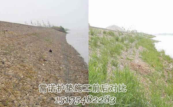 雷諾護(hù)墊