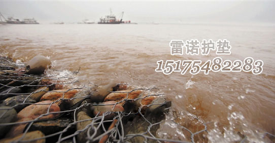 雙隔板雷諾護(hù)墊