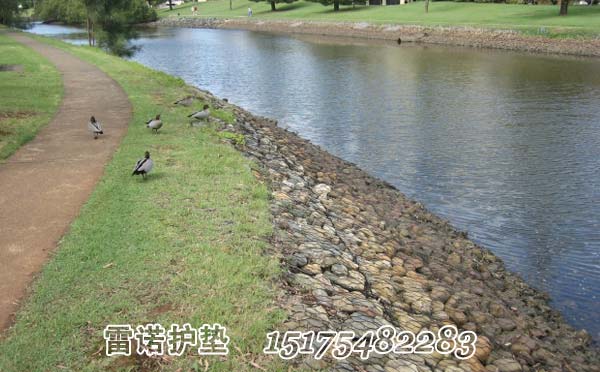 雷諾護(hù)墊