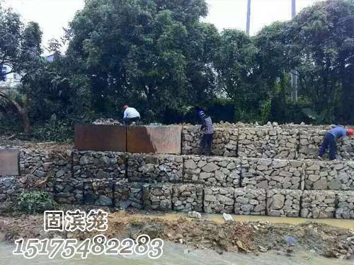 賓格網